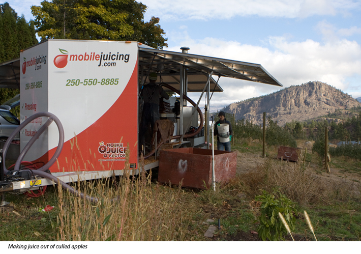 Mobile Juicing from Vernon, BC pressing apples tomake juice