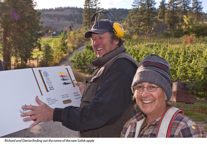 New apple variety from Summerland orchardists - The Salish