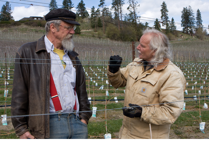 Don Gayton and Ron Watkins discussing vines